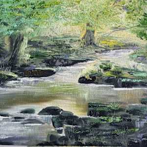 Kilbroney Forest Park by Debi Garrett