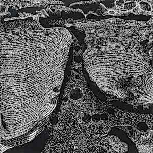 Kissing the Earth by Maggie  Stein, Image 1.