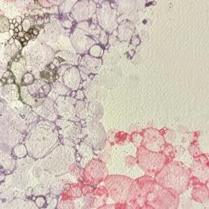 Water's Edge- Drawing a Day #293 by Helen R Klebesadel 