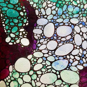 Shallow Water- Drawing a Day #307 by Helen R Klebesadel 