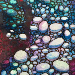 Shallow Water- Drawing a Day #307 by Helen R Klebesadel 