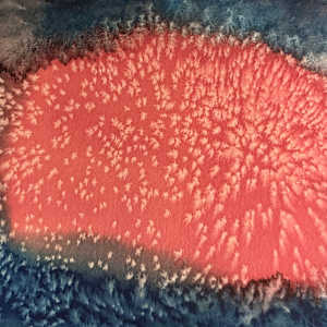Red Sky At Night- Drawing a Day #311 by Helen R Klebesadel 