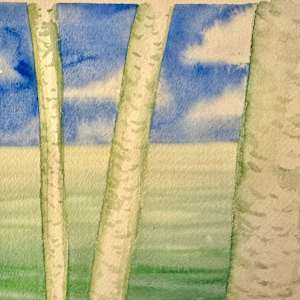 Birches By The Water II- Drawing a Day #364 by Helen R Klebesadel  Image: Pre-ink watercolor
