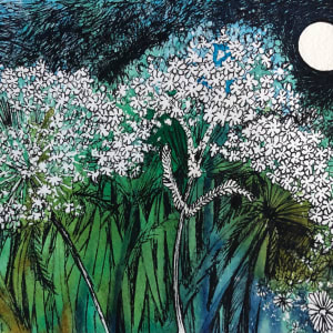 Queen Anne's Lace Moon II - Drawing a Day #139 by Helen R Klebesadel