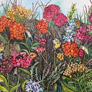 Greeting Card- Milkweed Prairie by Helen R Klebesadel