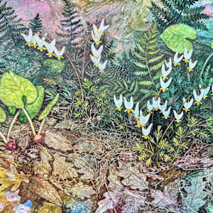 Spring Ephemeral: Dutchman's Breeches and Wild Ginger by Helen R Klebesadel
