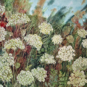 Queen Anne's Lace Prairie a limited edition giclee print of an original watercolor 4/100 by Helen R Klebesadel