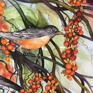 Greeting Card - American Bittersweet by Helen R Klebesadel 