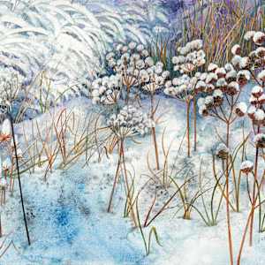 Greeting Card - Winter Prairie I by Helen R Klebesadel