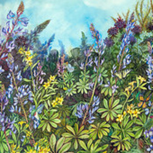 Wild Lupine and  Hoary Poocan by Helen R Klebesadel