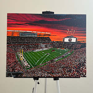 Williams-Brice Stadium by Kendyll Hallmark 