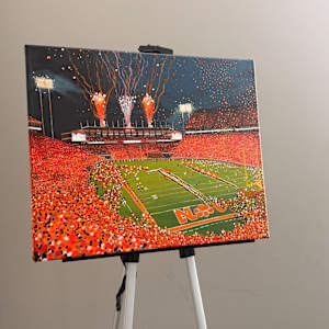 Clemson Memorial Stadium by Kendyll Hallmark 