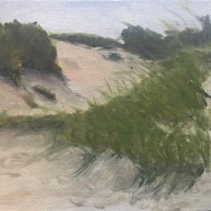 Petoskey State Park Dunes