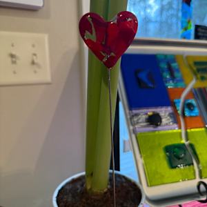2" Reds Pocket Heart Plant Stake #2 by Candice Treat Murphy, Image 9.