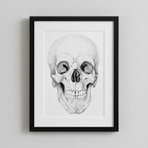 Daisy's Lover Skull by Breanna Cole, Image 2.