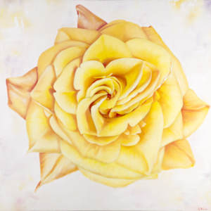 Yellow Heirloom Rose by Robyn Palescandolo