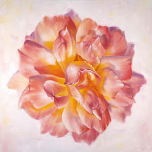 Peach Garden Rose by Robyn Palescandolo