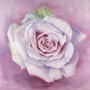 White Rose in a Lavender Haze by Robyn Palescandolo
