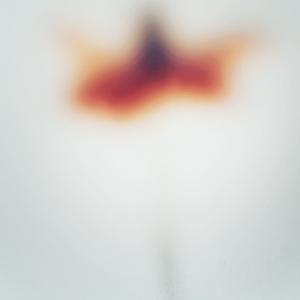 Canopus by Arthur Fields, Image 6.
