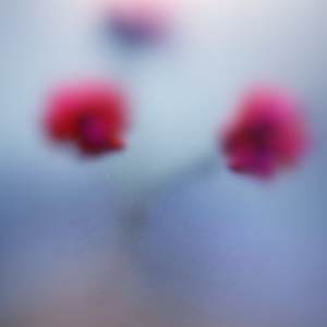 Antares by Arthur Fields, Image 1.