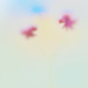 Arches by Arthur Fields, Image 5.