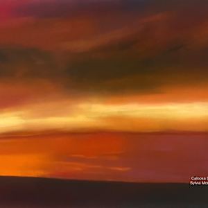 Caloosa Sunset II by Sylvia Montgomery