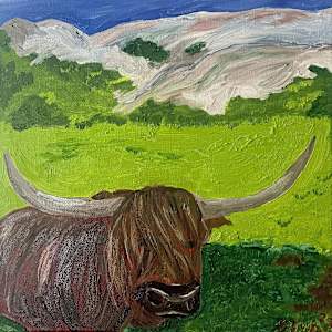 Coo by Sylvia Montgomery