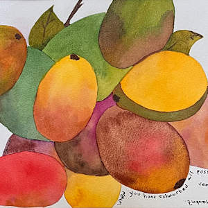 Eden (Mangoes) by Sylvia Montgomery