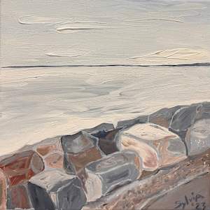 Quiet Power by Sylvia Montgomery