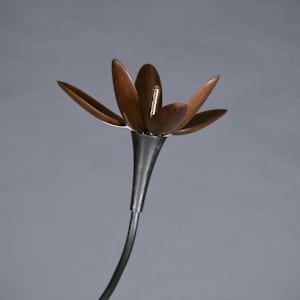 Pink Rain Lilly by Myles Vasta, Image 9.