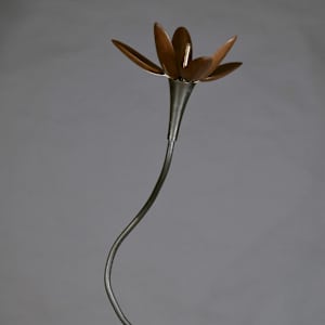 Pink Rain Lilly by Myles Vasta, Image 4.