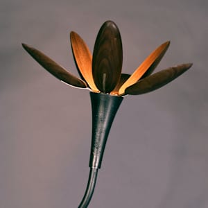 Pink Rain Lilly by Myles Vasta, Image 8.