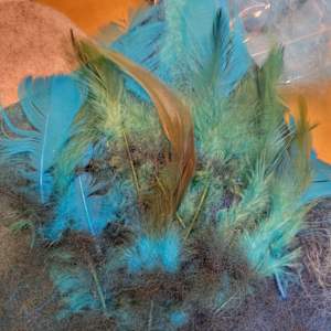BIG CHIEF by Jen Morgan, Image 8.