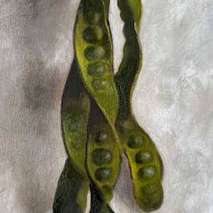 Buah Petai by Charlotte Sullivan, Image 1.