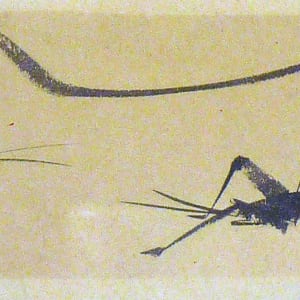 Untitled #1371 by Roy Hocking