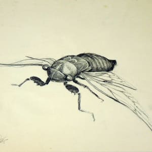 Untitled #405 by Roy Hocking