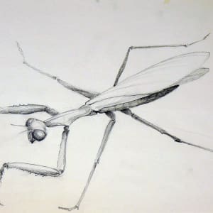 Untitled #407 by Roy Hocking