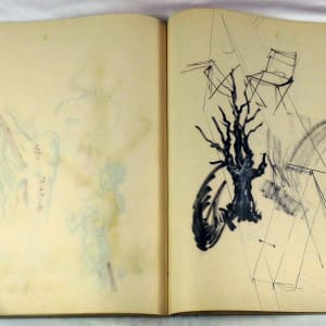 Page 169 & 170, from "Journal #1" by Roy Hocking