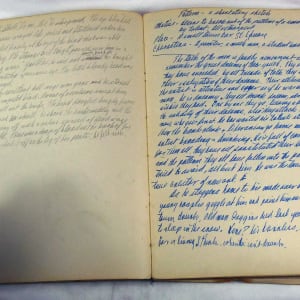 Page 161 & 162, from "Journal #2" by Roy Hocking