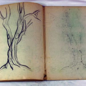 Page 171 & 172, from "Journal #3" by Roy Hocking