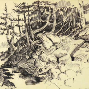 Shore Cedars - Ft. Wilkins, from "July Summer 1962 Sketch Pad" by Roy Hocking