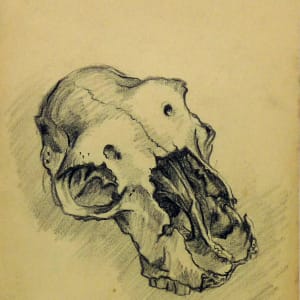 Untitled #4319 by Roy Hocking