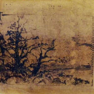 Untitled #4802 by Roy Hocking