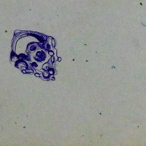 Untitled #4824 by Roy Hocking