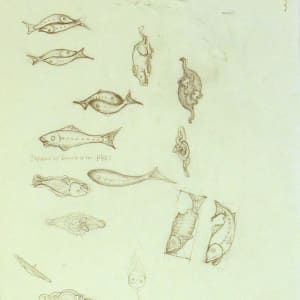 Untitled #5036 by Roy Hocking