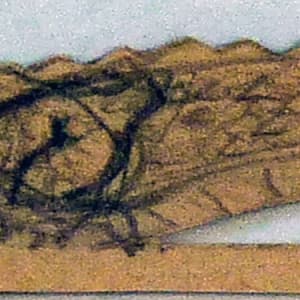 Untitled #5046 by Roy Hocking