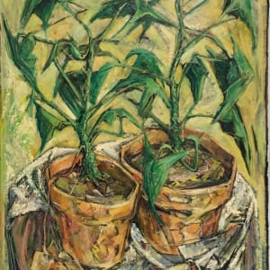 Philodendron by Roy Hocking