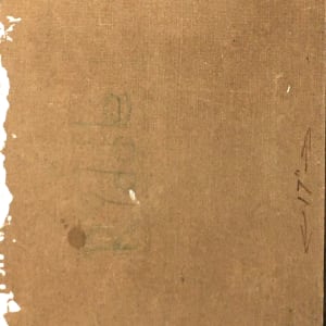 Riddle by Roy Hocking 
