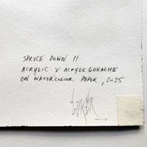 Spruce Down II by Mark Lyken 