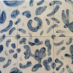 Dauby Delft by JAN FAIREY 